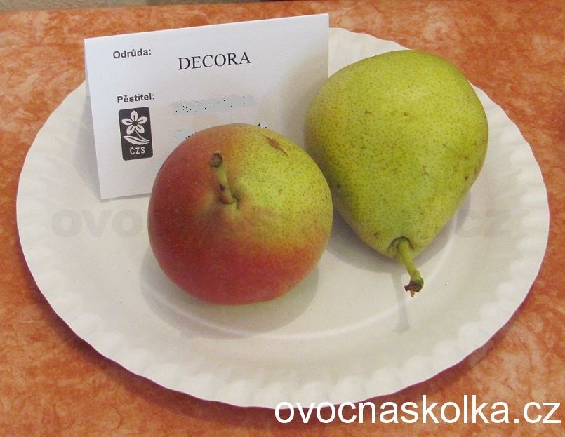 hrušeň Decora 